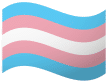 Transgender Flag